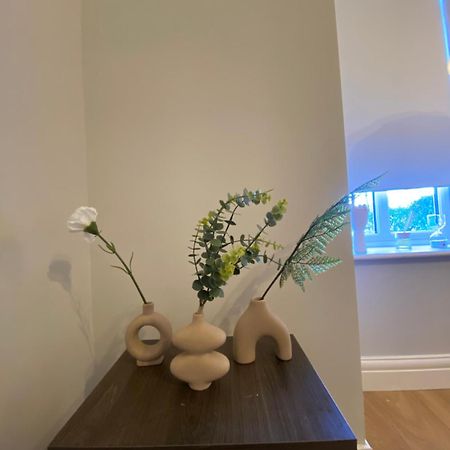 Extra Large Room In New House At Citywest دبلن المظهر الخارجي الصورة